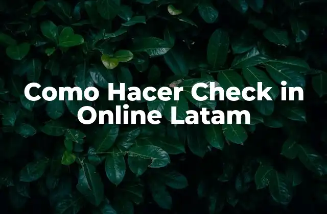 Como Hacer Check In Online Latam