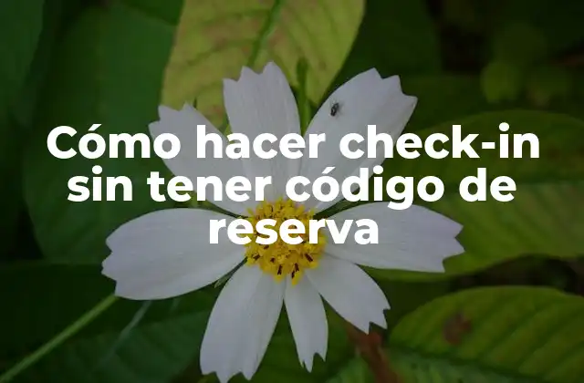 Cómo Hacer Check-in sin Tener Código de Reserva