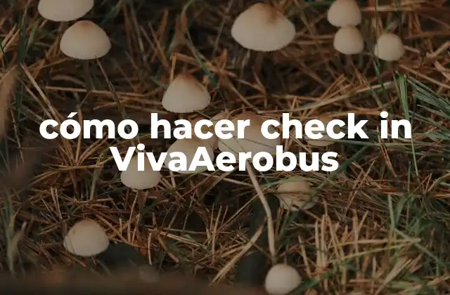 Cómo Hacer Check In Vivaaerobus
