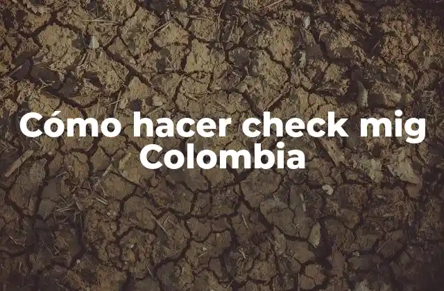 Cómo Hacer Check Mig Colombia