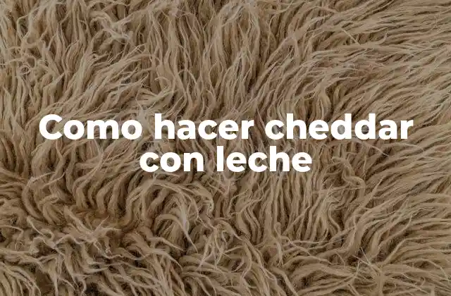 Como Hacer Cheddar con Leche
