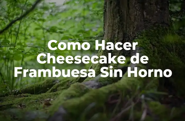 Como Hacer Cheesecake de Frambuesa sin Horno