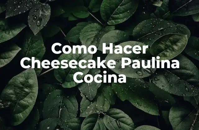 Como Hacer Cheesecake Paulina Cocina
