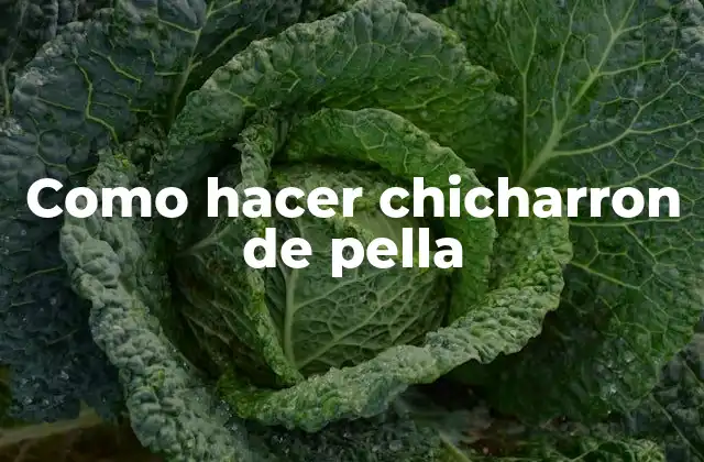 ¿Qué es el chicharrón de pella y para qué sirve?