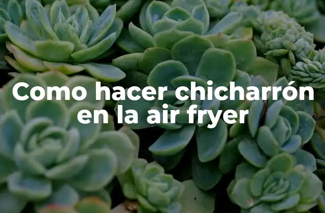 Como Hacer Chicharrón en la Air Fryer