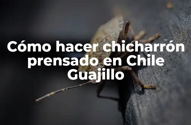 ¿Qué es chicharrón prensado en Chile Guajillo?