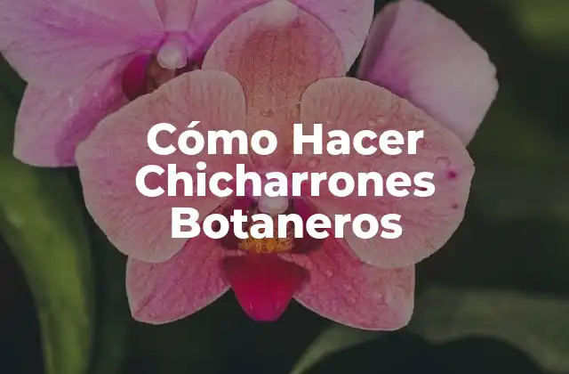 Cómo Hacer Chicharrones Botaneros