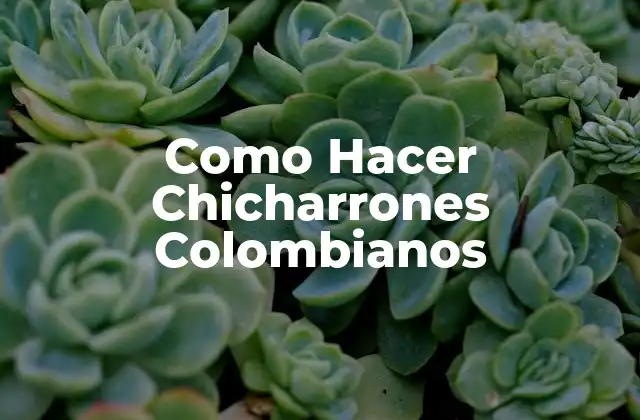 ¿Qué son los Chicharrones Colombianos?