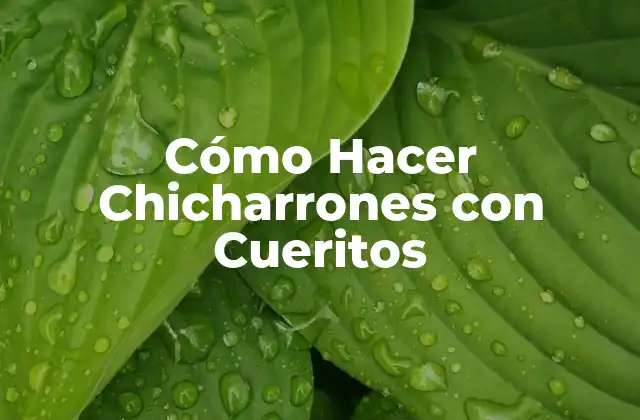 ¿Qué son los Chicharrones con Cueritos?