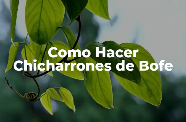 Como Hacer Chicharrones de Bofe 2 ¿Qué son los Chicharrones de Bofe y para qué Sirven?