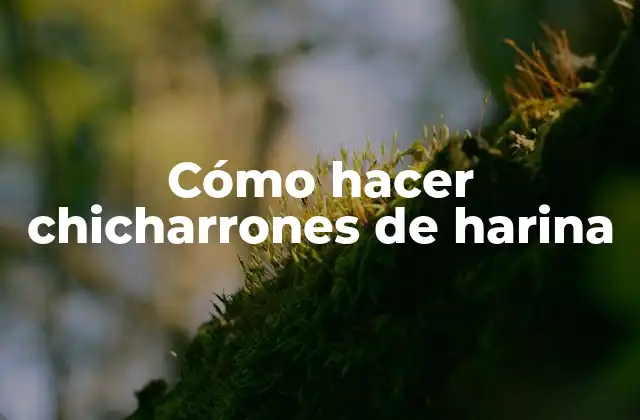 ¿Qué son los chicharrones de harina?