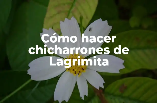 Cómo Hacer Chicharrones de Lagrimita