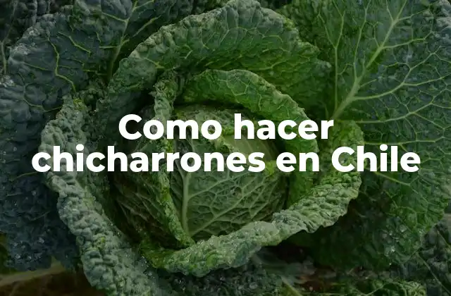 Como Hacer Chicharrones en Chile