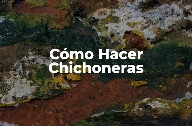 Cómo Hacer Chichoneras