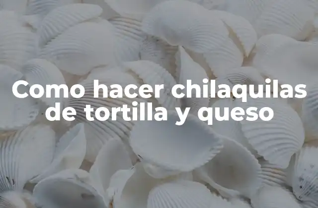 Como Hacer Chilaquilas de Tortilla y Queso