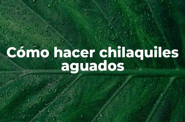 ¿Qué son los chilaquiles aguados y cómo se originaron?