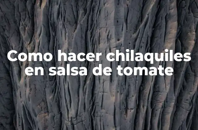 Como Hacer Chilaquiles en Salsa de Tomate