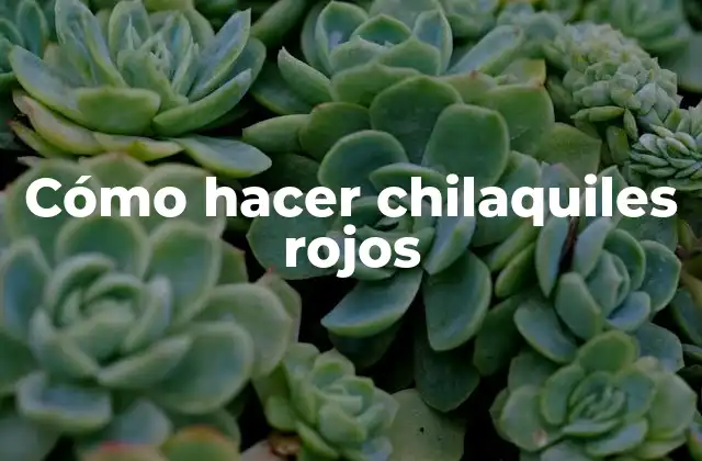 Cómo Hacer Chilaquiles Rojos