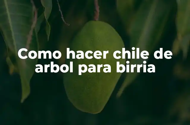 Como Hacer Chile de Arbol para Birria