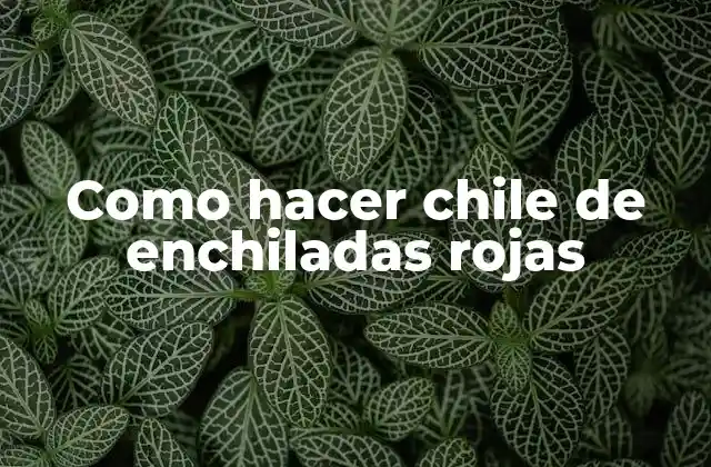 Como Hacer Chile de Enchiladas Rojas