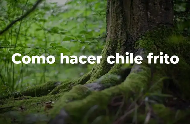 Como Hacer Chile Frito