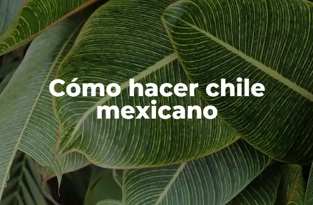 Cómo Hacer Chile Mexicano 2 ¿Qué es el chile mexicano y para qué sirve?