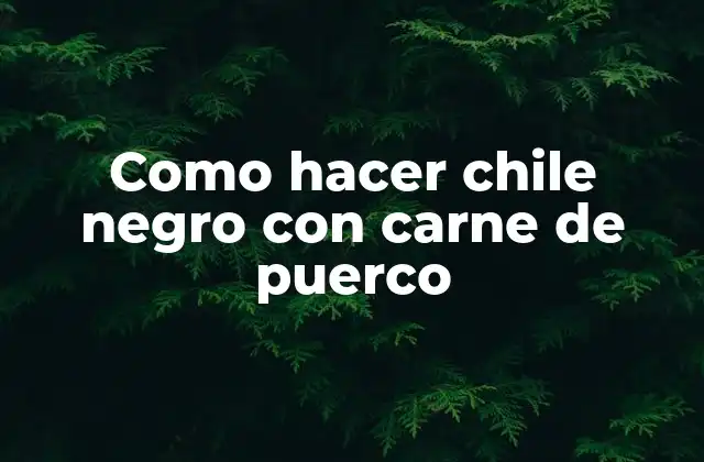 Como Hacer Chile Negro con Carne de Puerco
