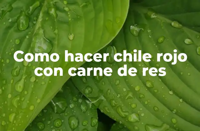 ¿Qué es el chile rojo con carne de res?