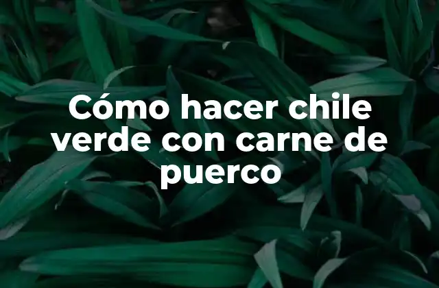 Cómo Hacer Chile Verde con Carne de Puerco