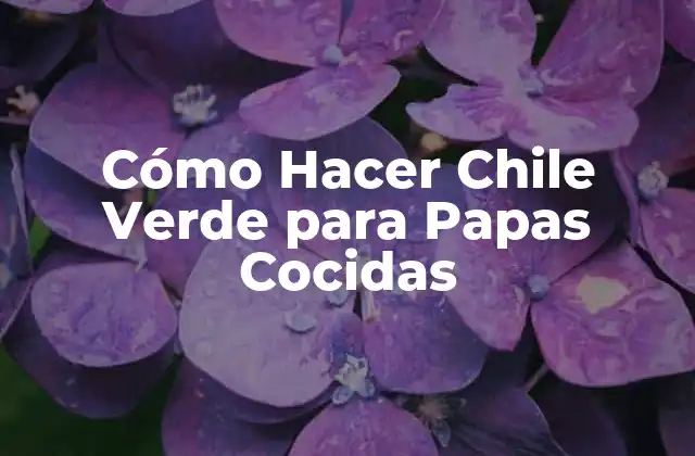 Cómo Hacer Chile Verde para Papas Cocidas