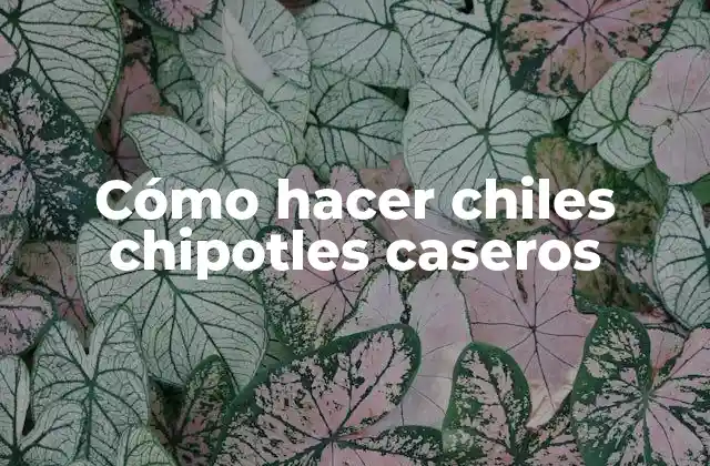 Cómo Hacer Chiles Chipotles Caseros