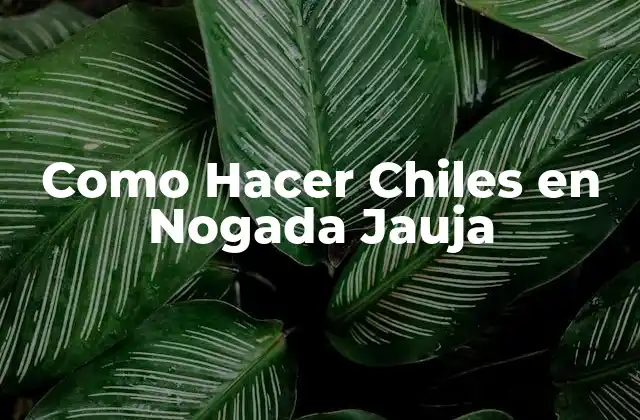 Como Hacer Chiles en Nogada Jauja