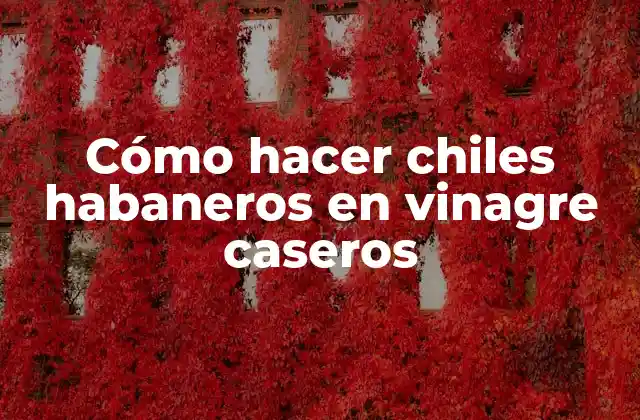 Cómo Hacer Chiles Habaneros en Vinagre Caseros