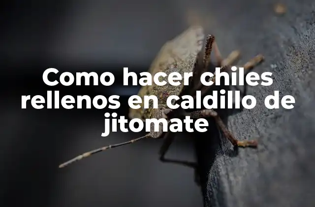 Como Hacer Chiles Rellenos en Caldillo de Jitomate