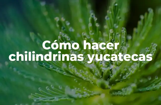 Cómo Hacer Chilindrinas Yucatecas