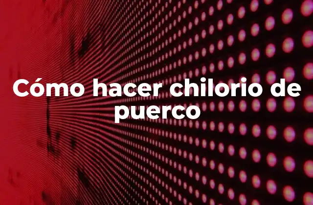 Cómo Hacer Chilorio de Puerco 2 ¿Qué es el chilorio de puerco?