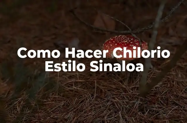 Como Hacer Chilorio Estilo Sinaloa 2 ¿Qué es Chilorio Estilo Sinaloa?