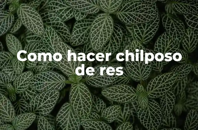 Como Hacer Chilposo de Res