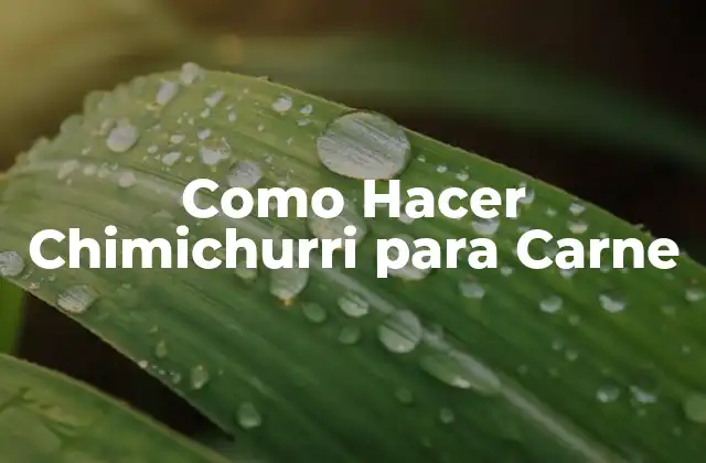 Como Hacer Chimichurri para Carne