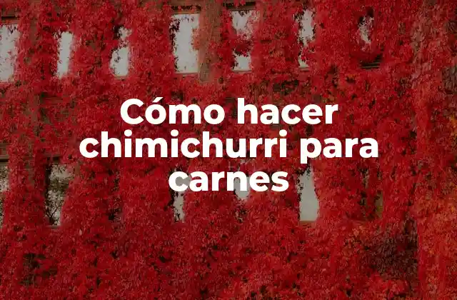 Cómo Hacer Chimichurri para Carnes 2 ¿Qué es el chimichurri y para qué sirve?