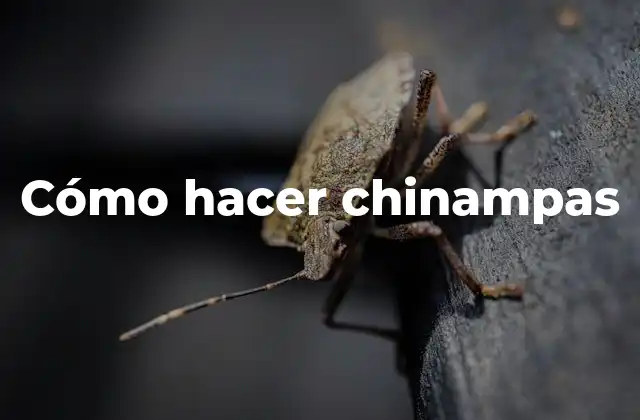 Cómo Hacer Chinampas