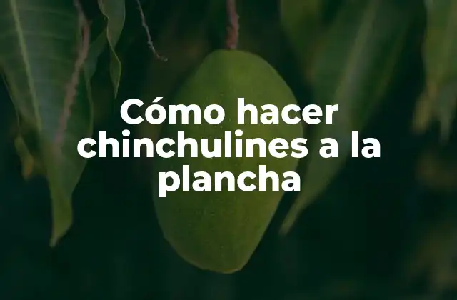 Cómo Hacer Chinchulines a la Plancha