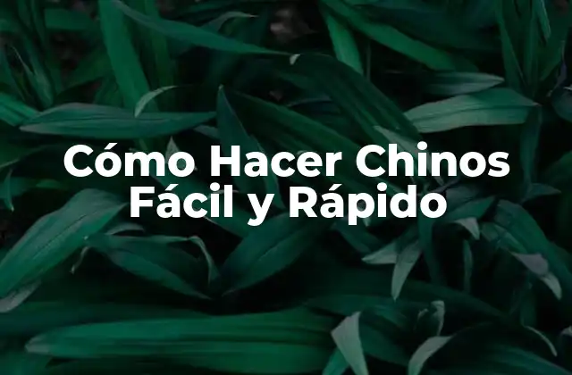 Cómo Hacer Chinos Fácil y Rápido