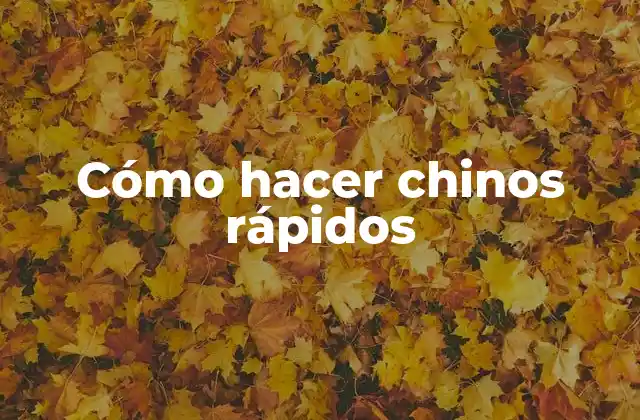 ¿Qué son los chinos rápidos?