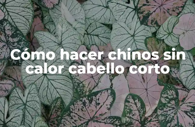 Cómo Hacer Chinos sin Calor Cabello Corto