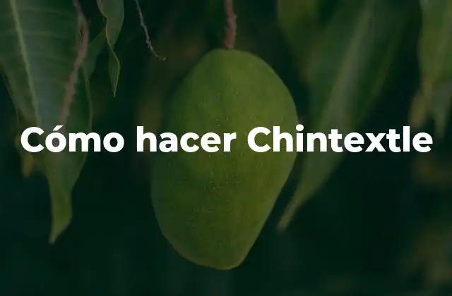 ¿Qué es el Chintextle?