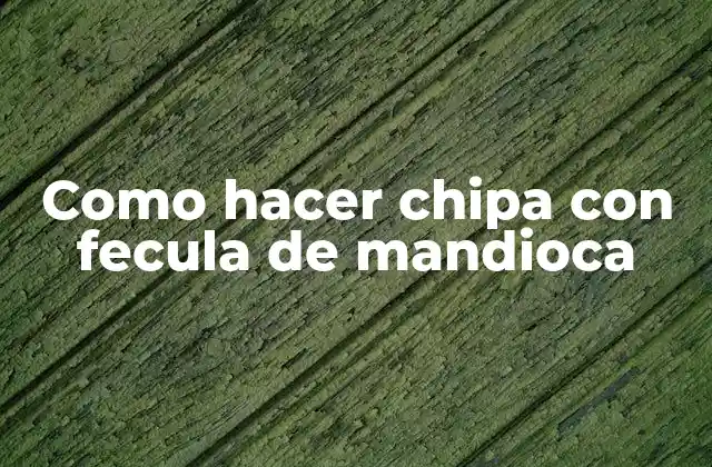 Como Hacer Chipa con Fecula de Mandioca