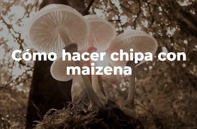 ¿Qué es la chipa con maizena y para qué sirve?