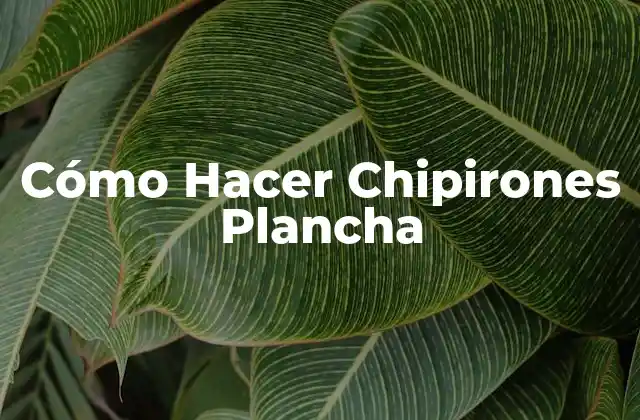 Cómo Hacer Chipirones Plancha