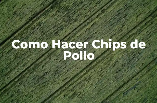 Como Hacer Chips de Pollo 2 ¿Qué son los Chips de Pollo y Para Qué Sirven?